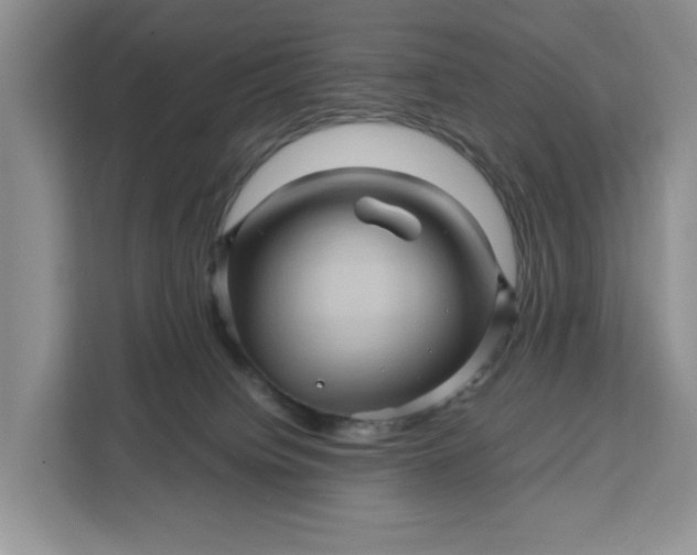 X0000111120084200907141159