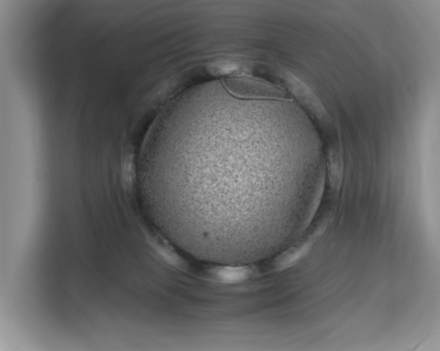 X0000111120085200907141159