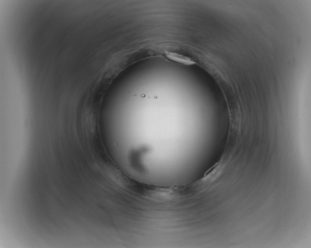 X0000111120086200907141159