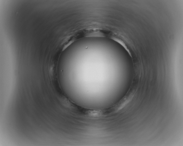 X0000111120088200907141159