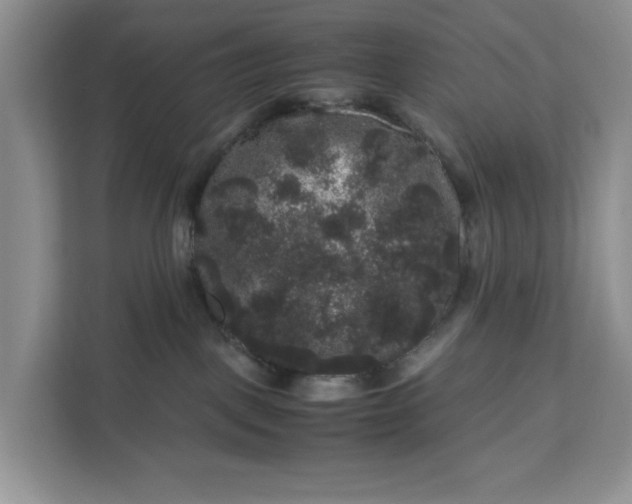 X0000111120093200907141159