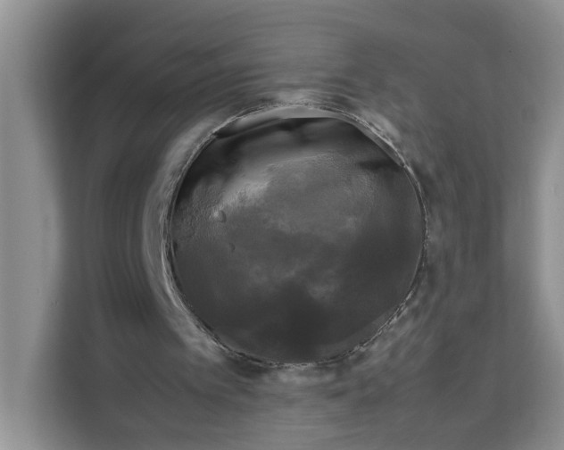 X0000111120097200907141159