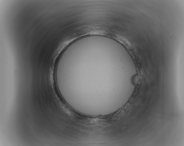 X0000111120098200907141159