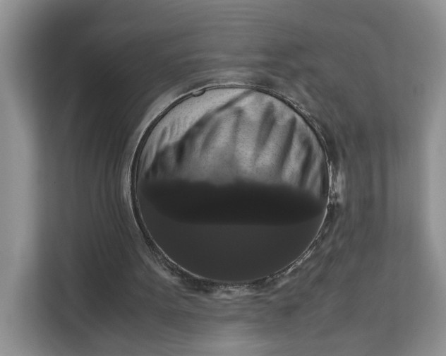 X0000111120099200907141159