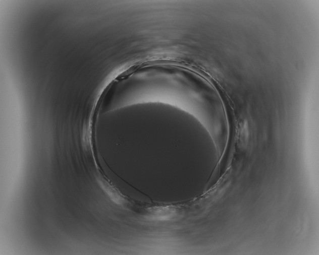 X0000111120100200907141159