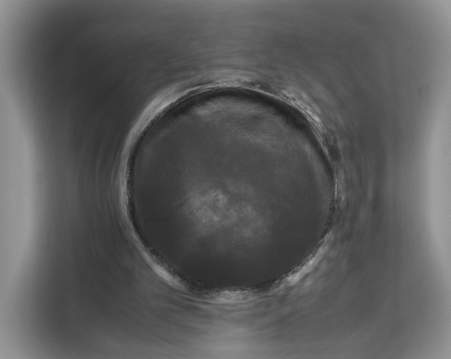 X0000111120101200907141159