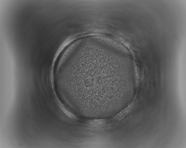 X0000111120102200907141159