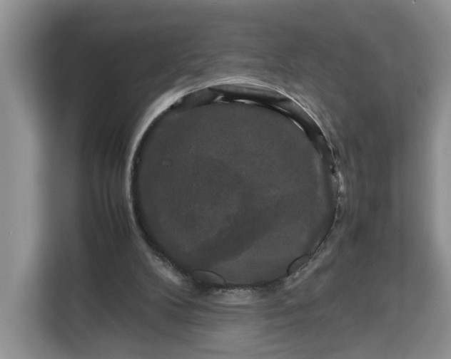 X0000111120104200907141159