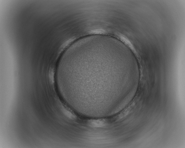 X0000111120106200907141159