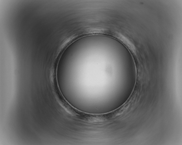 X0000111120107200907141159