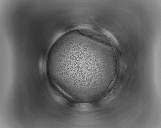 X0000111120108200907141159