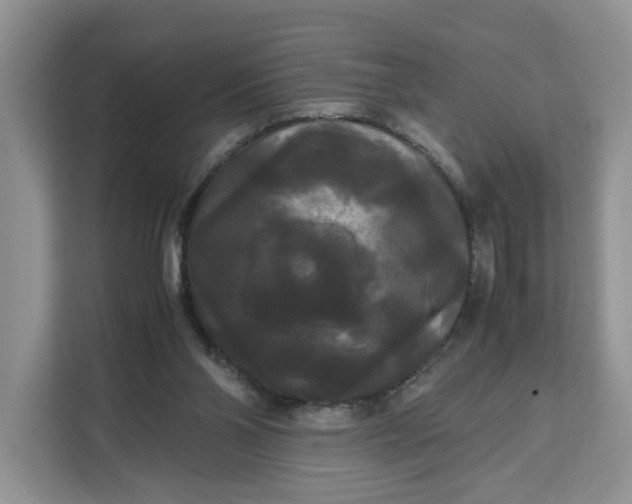 X0000111120110200907141158