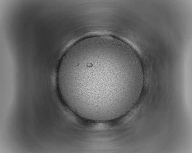 X0000111120111200907141158