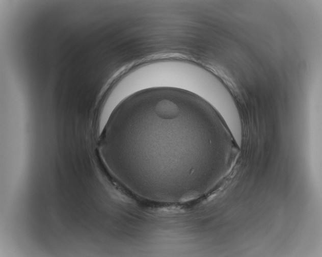 X0000111120112200907141158