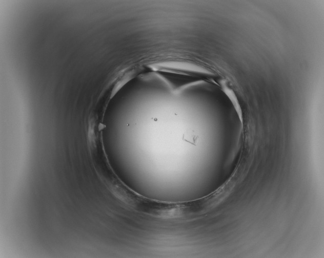 X0000111120116200907141158