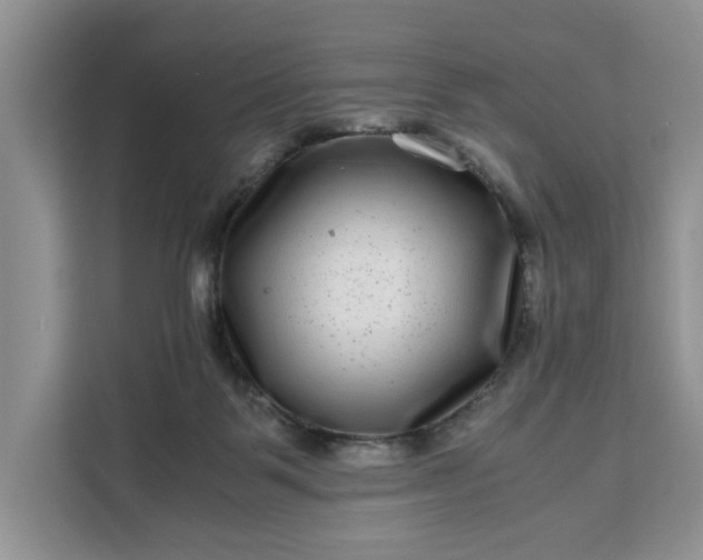 X0000111120123200907141158