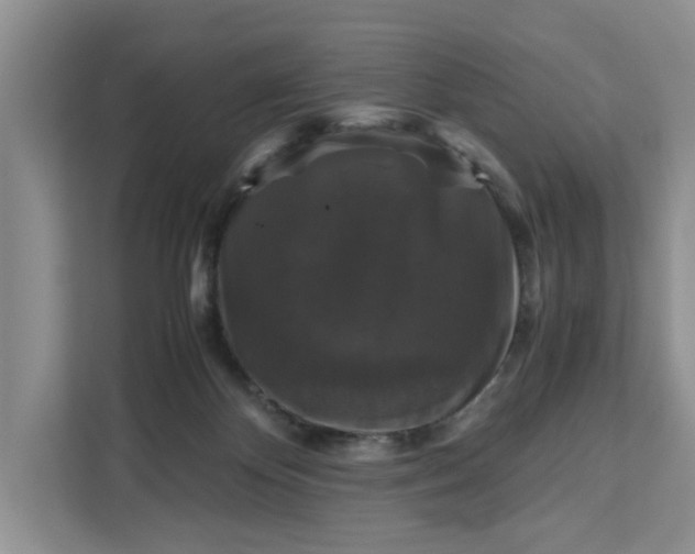 X0000111120124200907141158