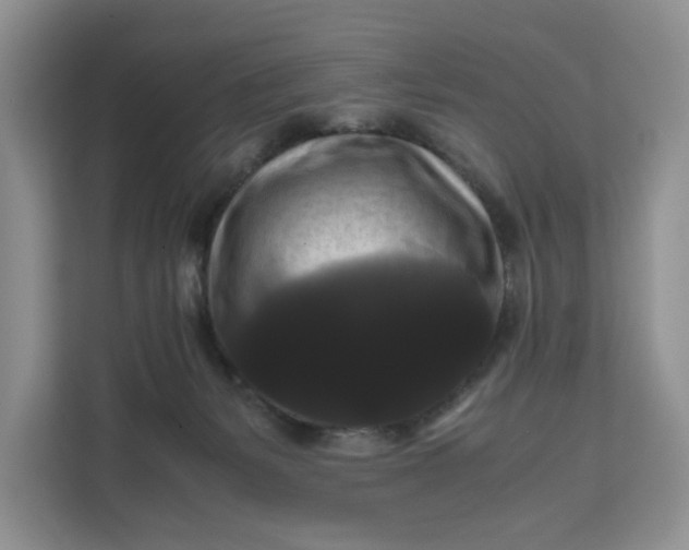 X0000111120127200907141158