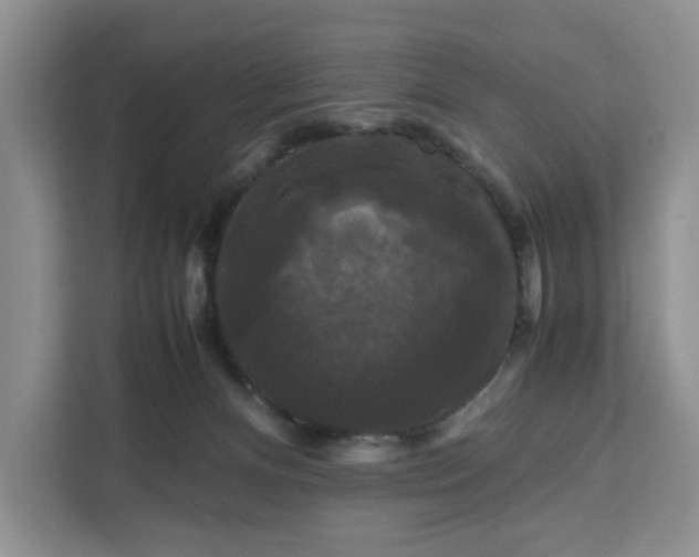 X0000111120128200907141158