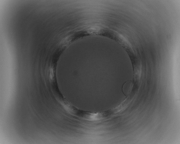 X0000111120130200907141158