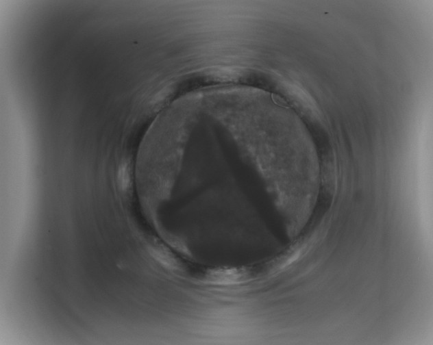 X0000111120131200907141158