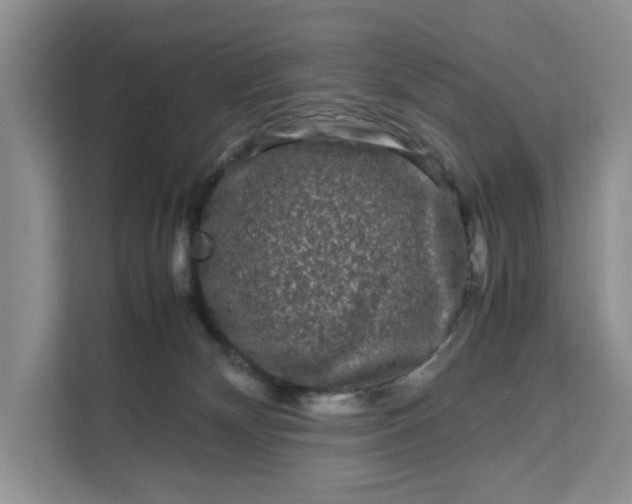 X0000111120132200907141158