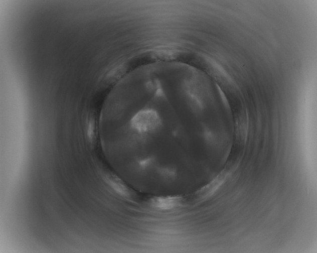 X0000111120134200907141158