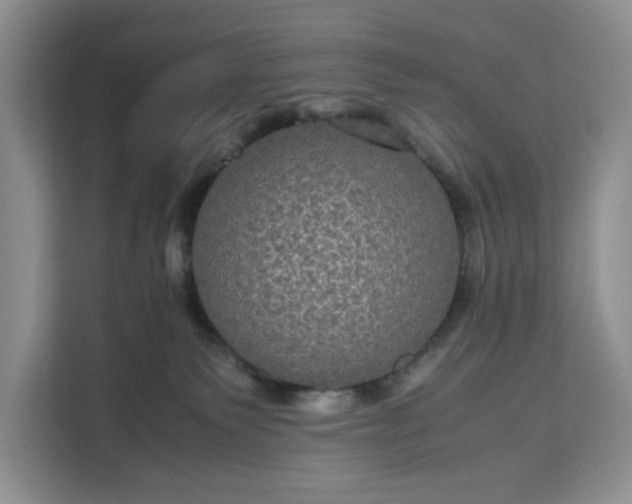 X0000111120135200907141158