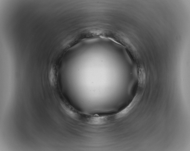 X0000111120136200907141158