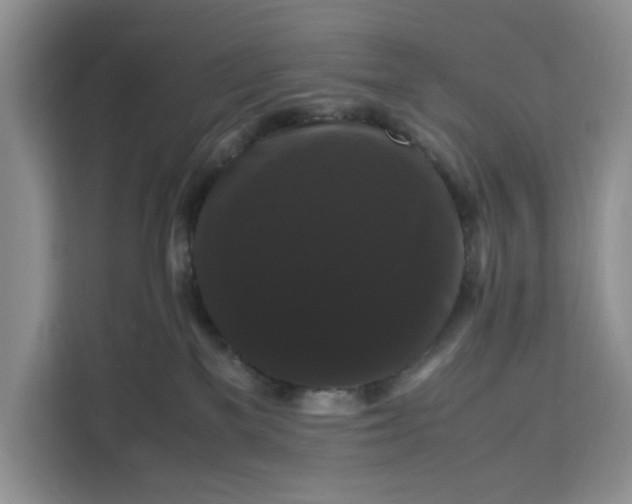 X0000111120137200907141158