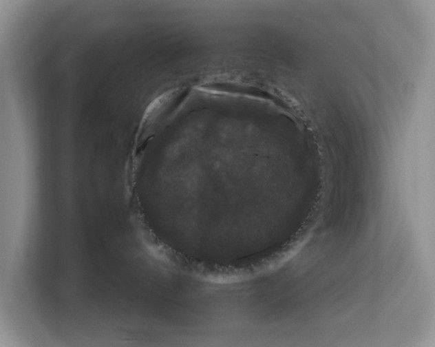 X0000111120144200907141158