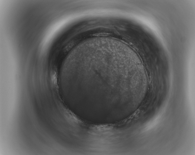 X0000111120146200907141157