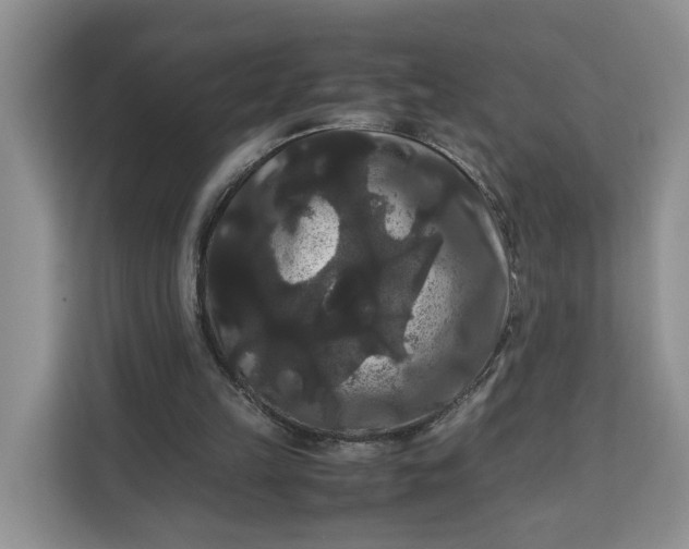 X0000111120149200907141157