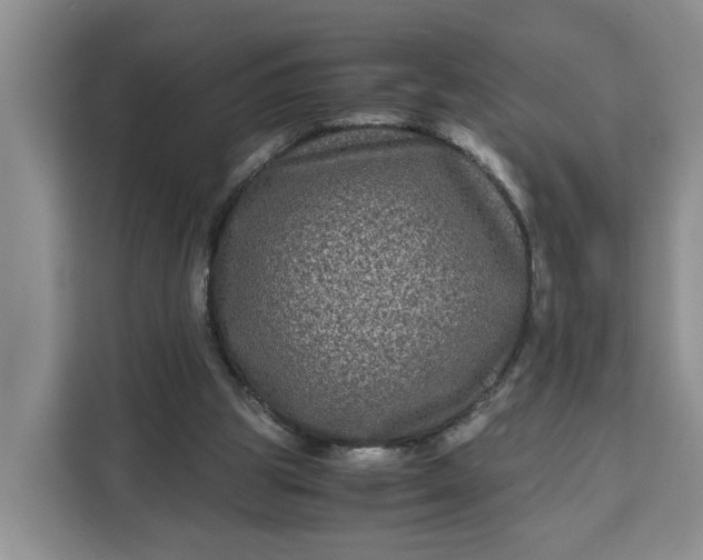 X0000111120153200907141158