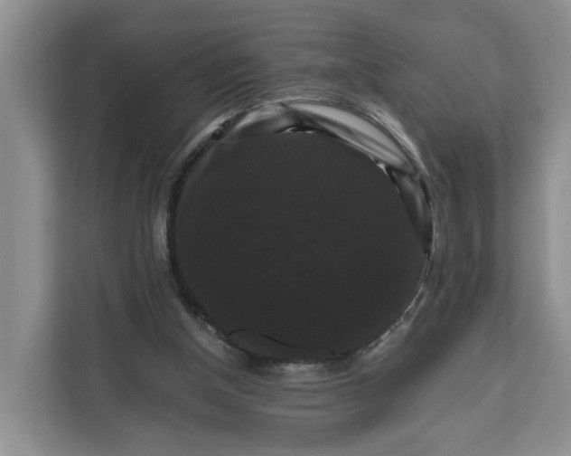 X0000111120154200907141158