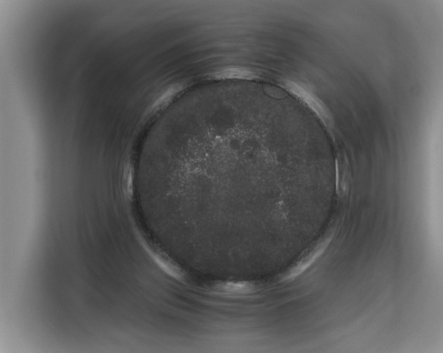 X0000111120157200907141158