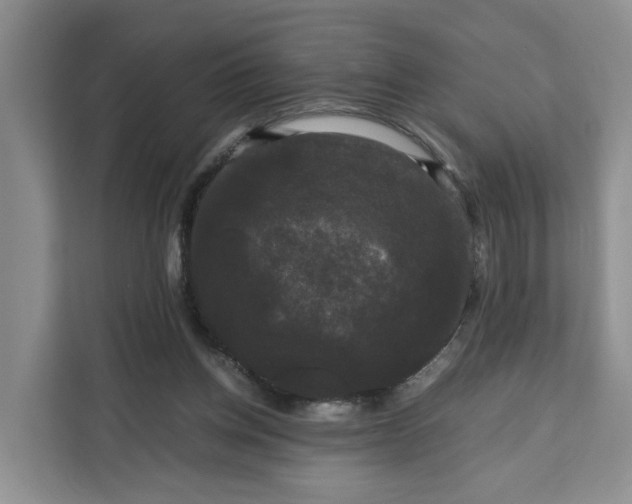 X0000111120158200907141158