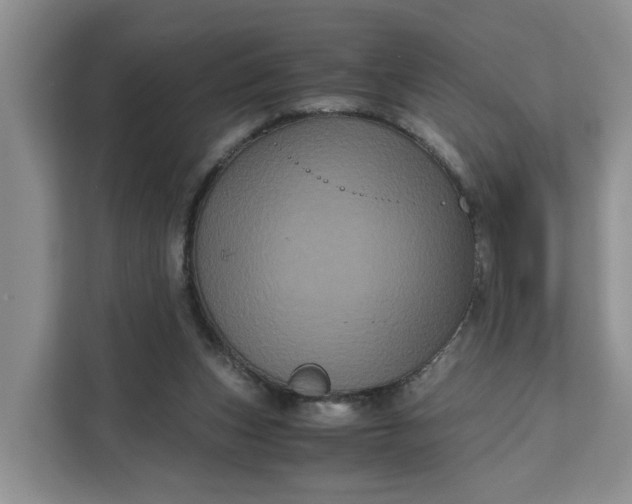 X0000111120159200907141158