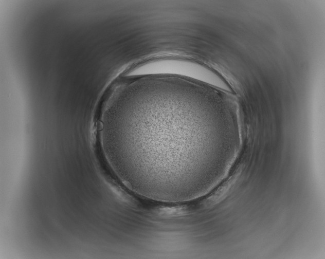 X0000111120160200907141158