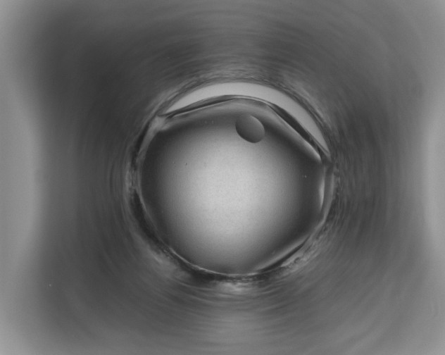 X0000111120164200907141158