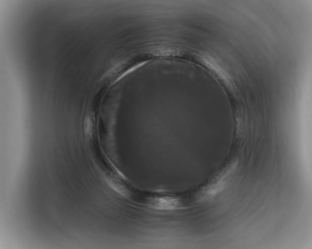 X0000111120165200907141158