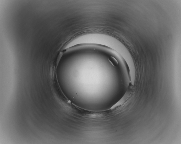 X0000111120168200907141158