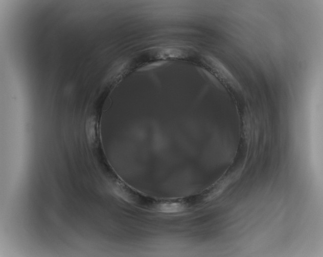 X0000111120169200907141158