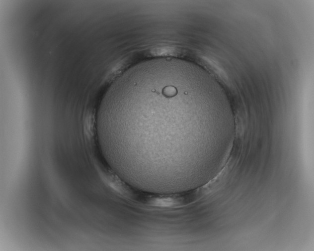 X0000111120171200907141158