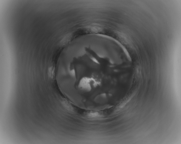 X0000111120177200907141158