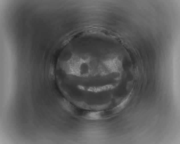 X0000111120178200907141158