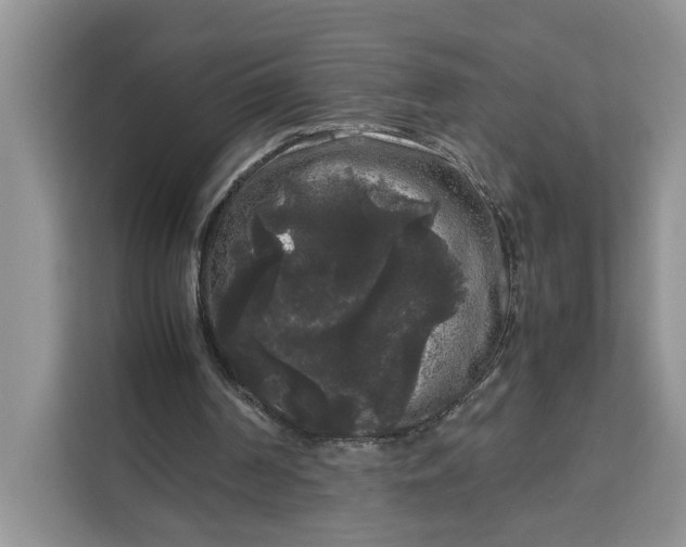 X0000111120194200907141157