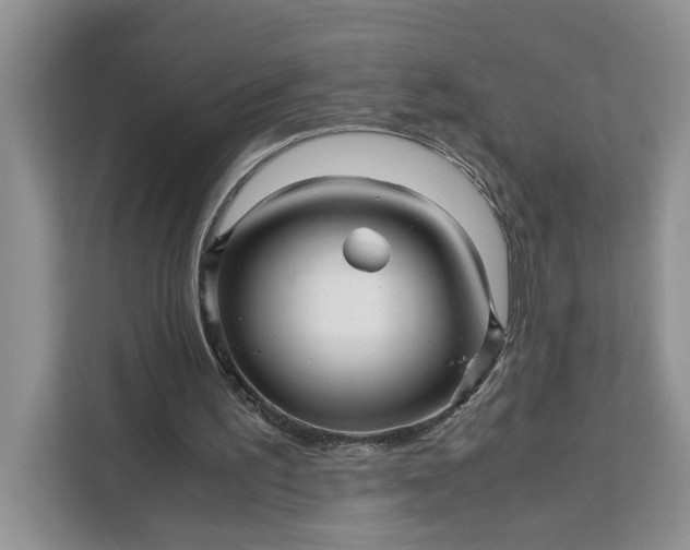 X0000111120195200907141157