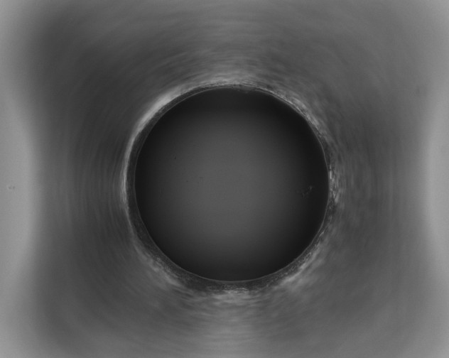 X0000111120196200907141157