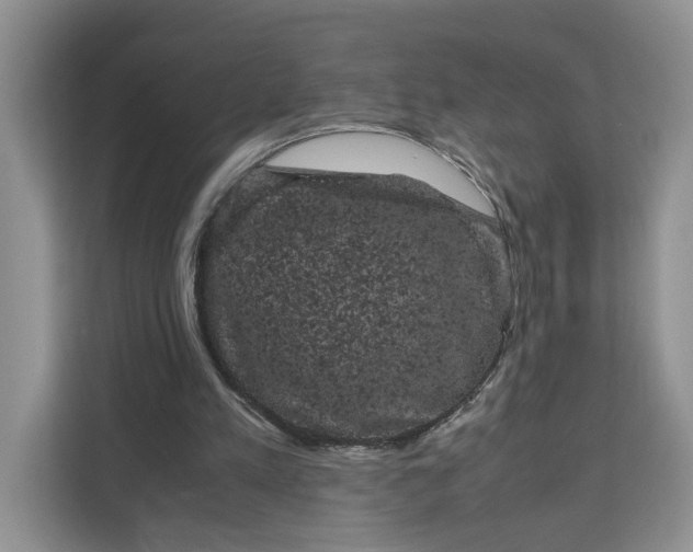 X0000111120197200907141157